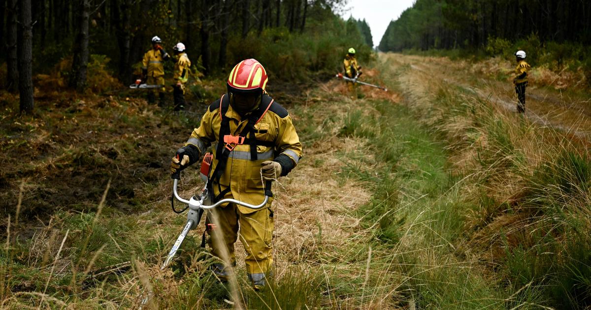 «Casser la puissance du feu» : comment fonctionnent les pare-feu destinés à lutter contre les incendies en Gironde?