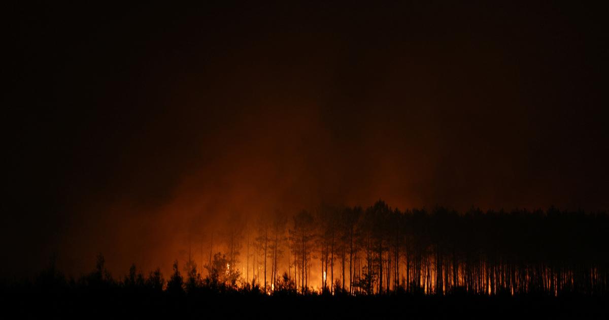 Incendie en Gironde : 4000 touristes évacués préventivement de Lacanau