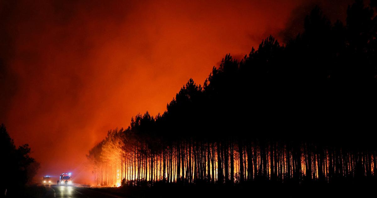 «Les pompiers sont poussés à la limite de leurs capacités» : la presse internationale observe les incendies qui ravagent la France avec effroi