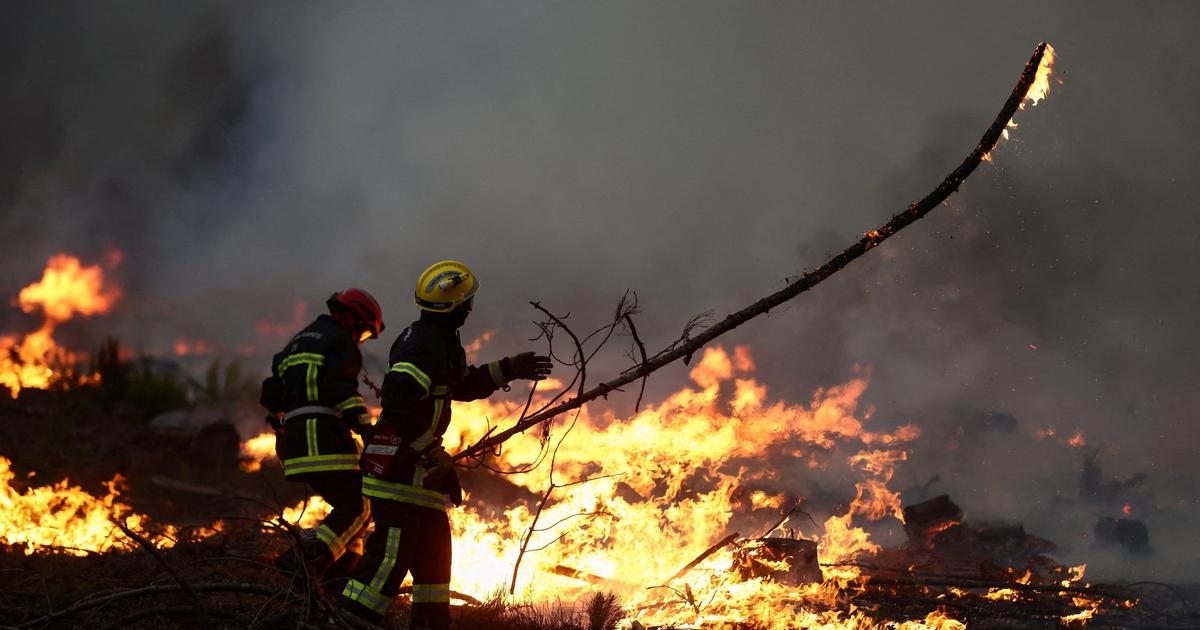 Fumées toxiques, brûlures, cancers... Que risquent les pompiers en luttant contre les feux de forêt ?