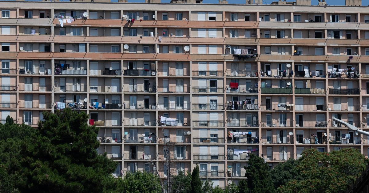 « 70 000 euros de produits à la revente » : à Marseille, saisie de cannabis dans le pavillon d’un jeune couple