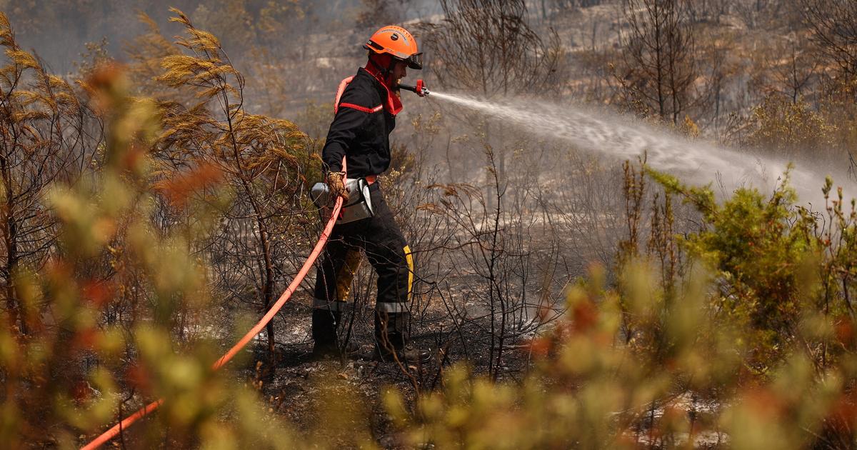 Incendies dans le Var : deux pyromanes présumés interpellés pour avoir déclenché plusieurs départs de feu