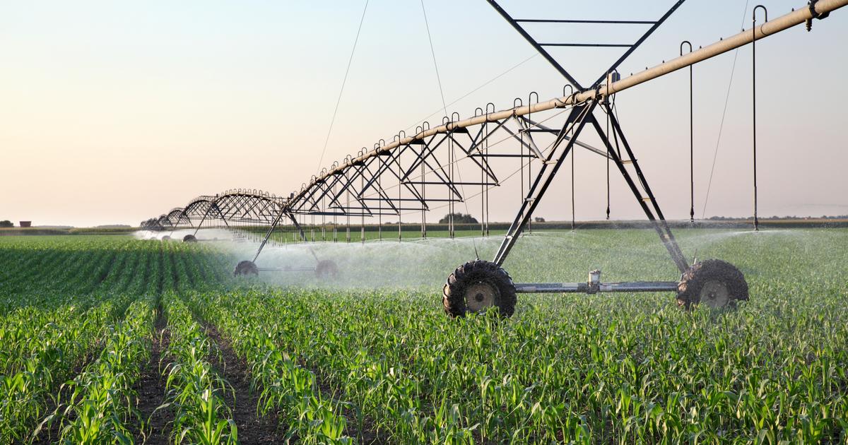 « L’eau est devenue un enjeu de souveraineté économique »