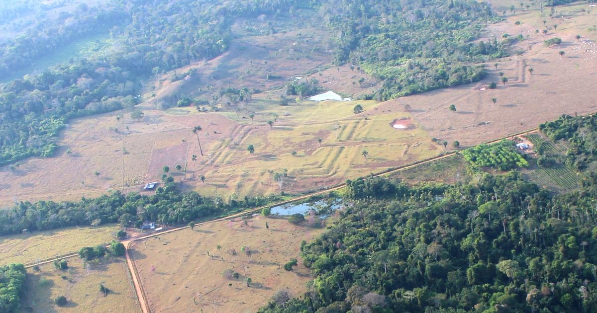 Des enceintes cérémonielles au cœur de l’Amazonie ? Ce que montrent ces gigantesques traces géométriques découvertes dans la forêt