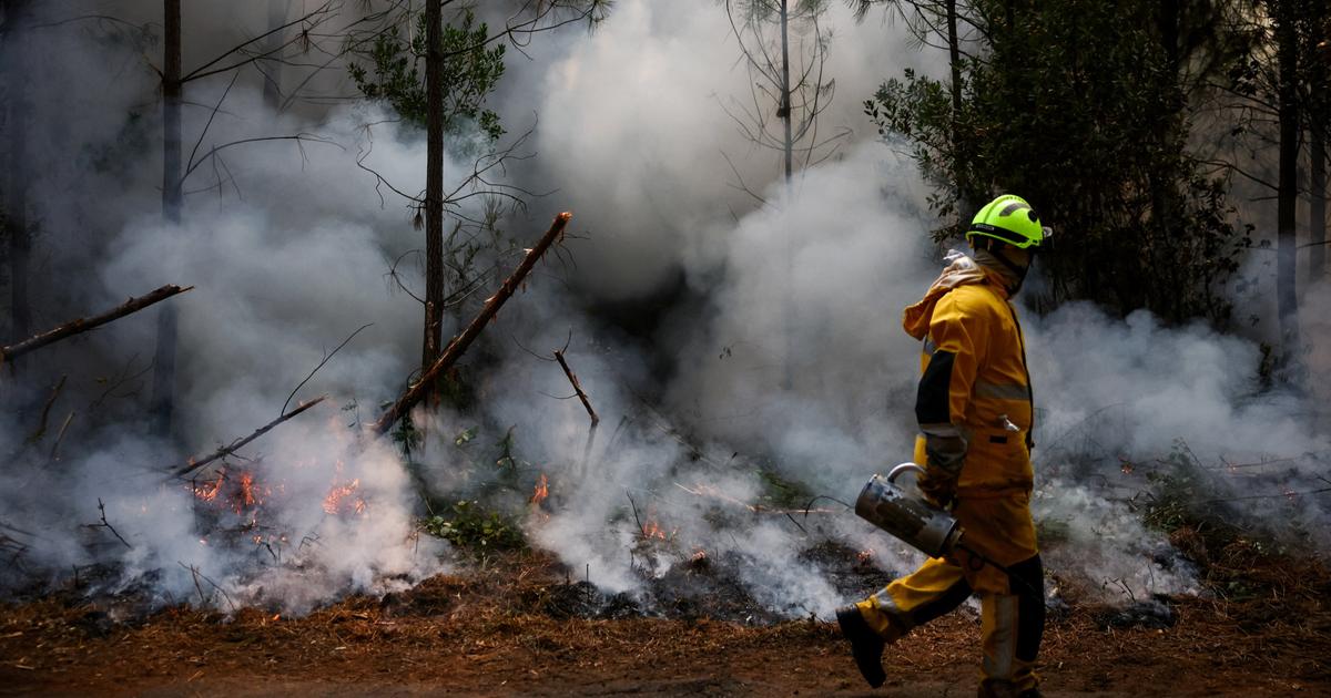 «Plus d’une centaine de déflagrations» : des obus de la Seconde Guerre mondiale retrouvés au cœur de l’incendie de Gironde