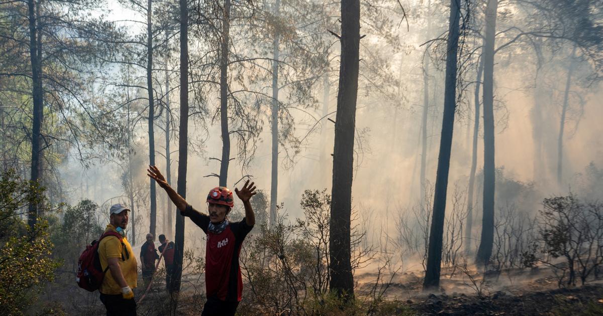 Turquie&nbsp;: le pays fait face à 115 incendies depuis mercredi