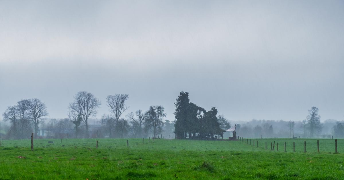 Météo du vendredi 31 juillet : du Massif central à l’Alsace, des orages violents avec de la grêle et des fortes rafales