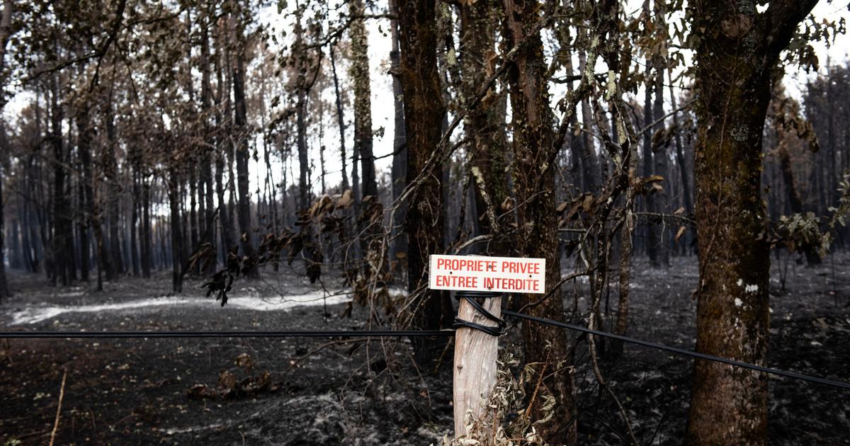 «On est un petit village gaulois» : au Temple, ce bourg encerclé par les flammes miraculeusement épargné