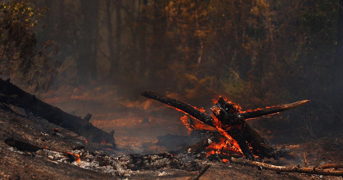 Il voulait «mettre le feu» : dans le Var, un Tunisien condamné à un an de prison pour avoir provoqué un incendie