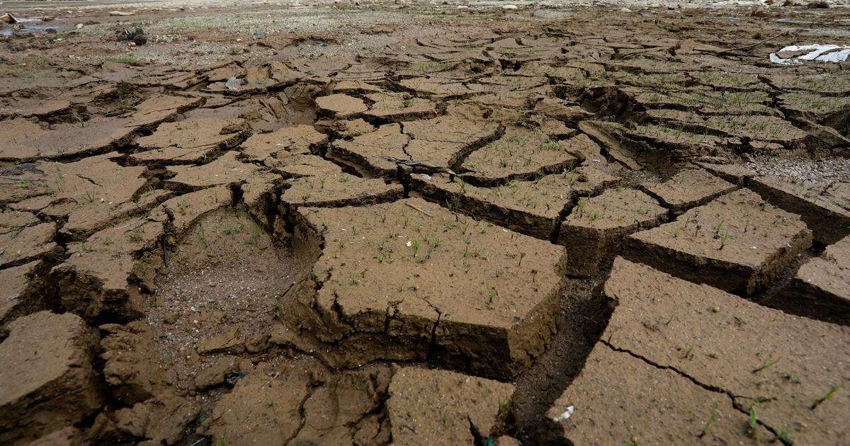 Pourquoi le nouvel El Niño, déjà surnommé «Godzilla», inquiète les climatologues