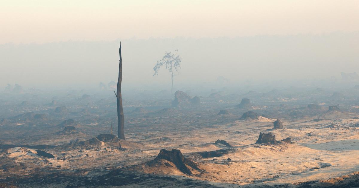 Le réchauffement climatique, ce carburant invisible des mégafeux en Europe