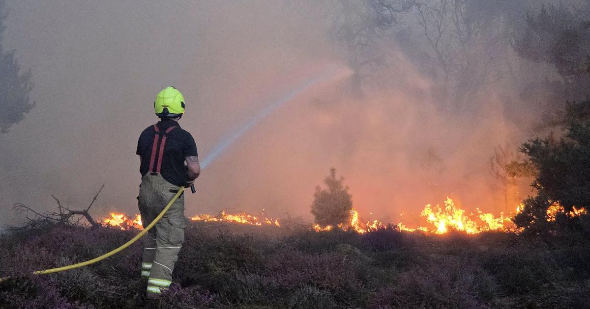 Angleterre : une centaine de pompiers mobilisés contre un incendie dans l’est du pays