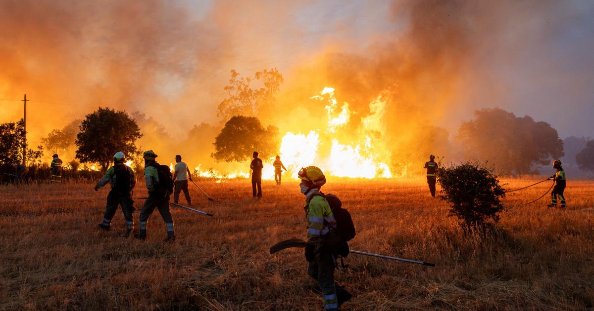 Incendie en Espagne : plus de 11.000 hectares détruits en 24 heures près de la frontière avec le Portugal