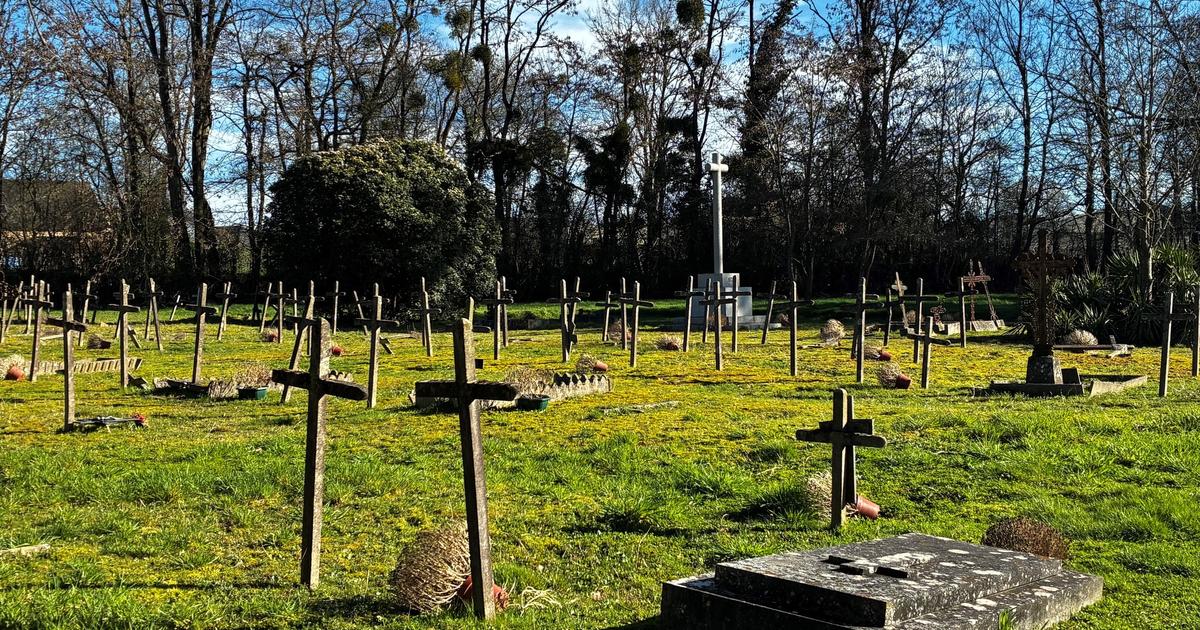 Les cimetières des fous, ces lieux chargés de mémoire où sont enterrés les oubliés du monde