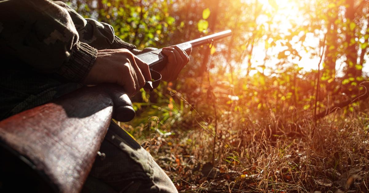 Faut-il interdire la chasse dans les zones brûlées ?