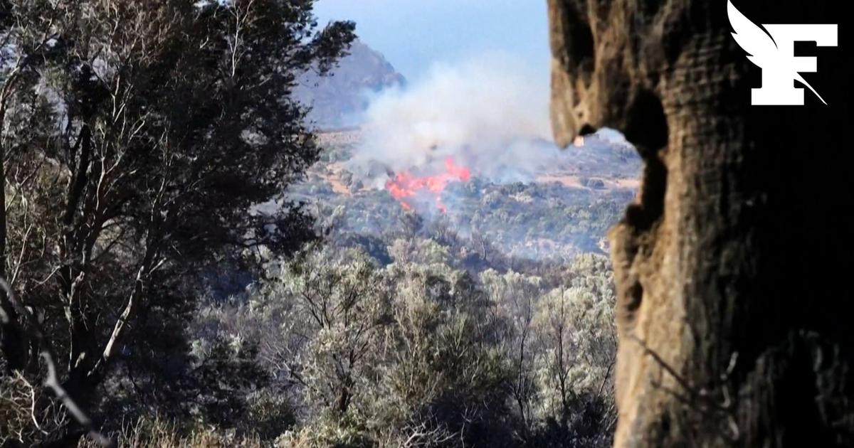 Incendies en Crète: deux pompiers tués, 8000 personnes évacuées