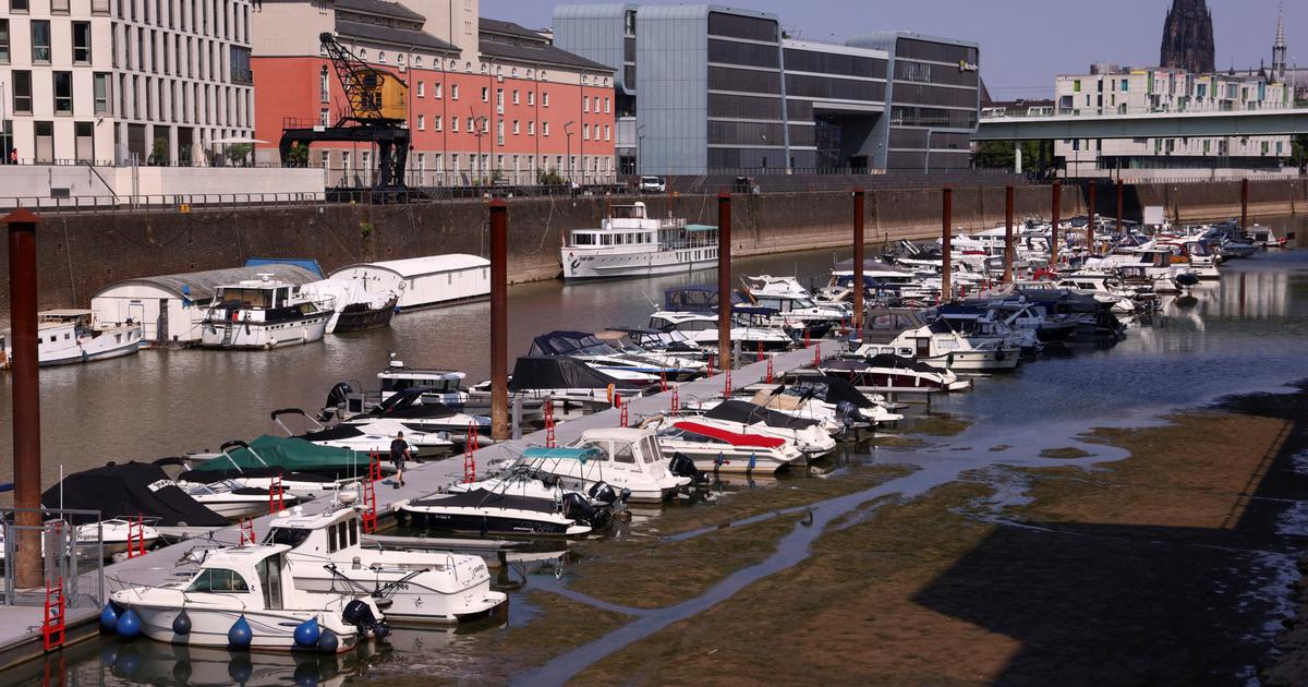 Le Rhin à son plus bas historique : la sécheresse menace un axe vital de l’industrie allemande