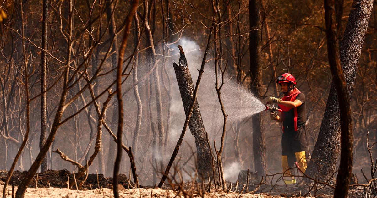 Incendies : le Var à «très haut risque» samedi de 16 heures à 22 heures, selon Laurent Nuñez