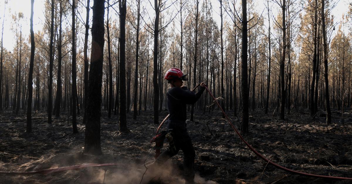 Incendie en Gironde : le méga feu «pas fixé» mais «toujours contenu» samedi, selon les pompiers
