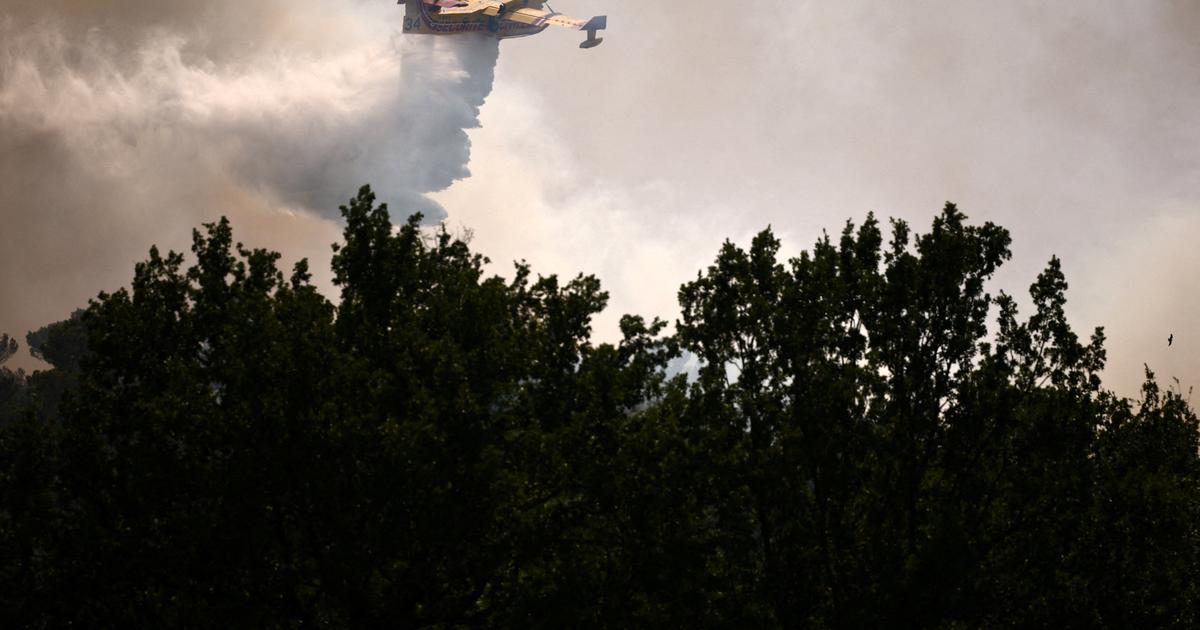 L’incendie dans l’Aude ayant ravagé une centaine d’hectares près de Carcassonne est «fixé», l’A61 rouverte «dès que possible»