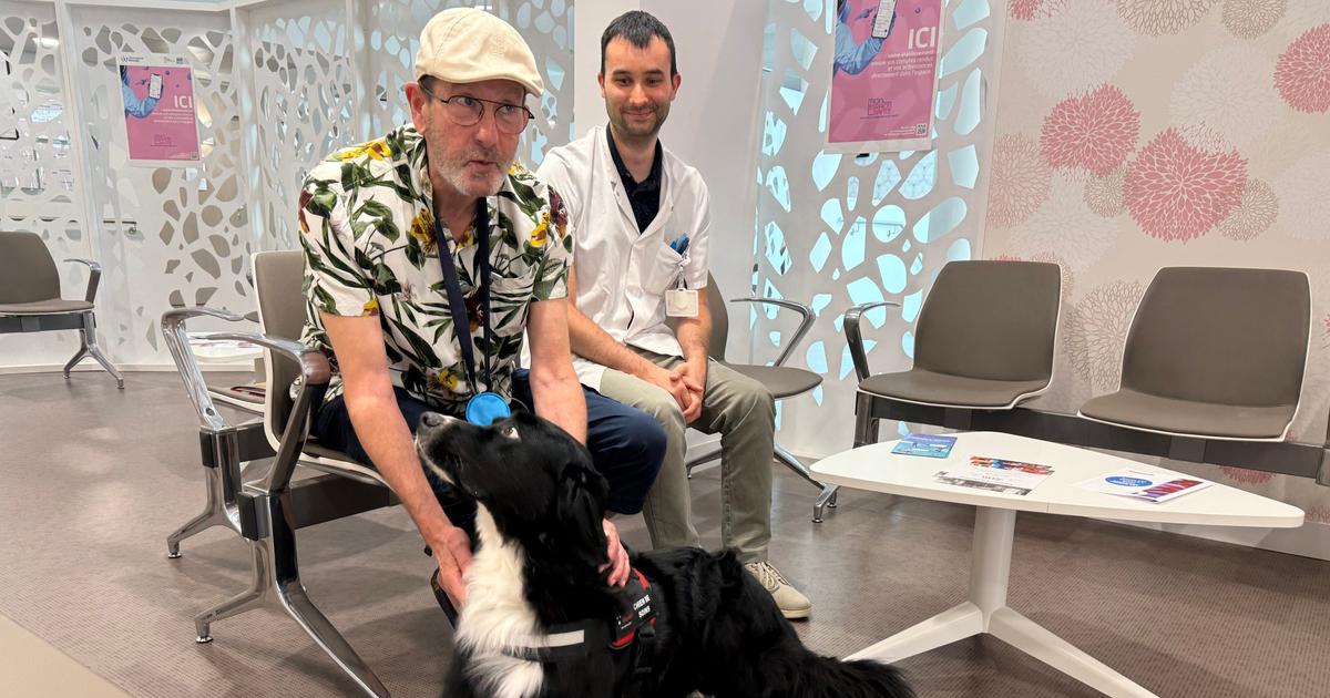 De guide pour aveugle à chien de soins, l’étonnante reconversion d’Enjoy au centre de lutte contre le cancer d’Avignon