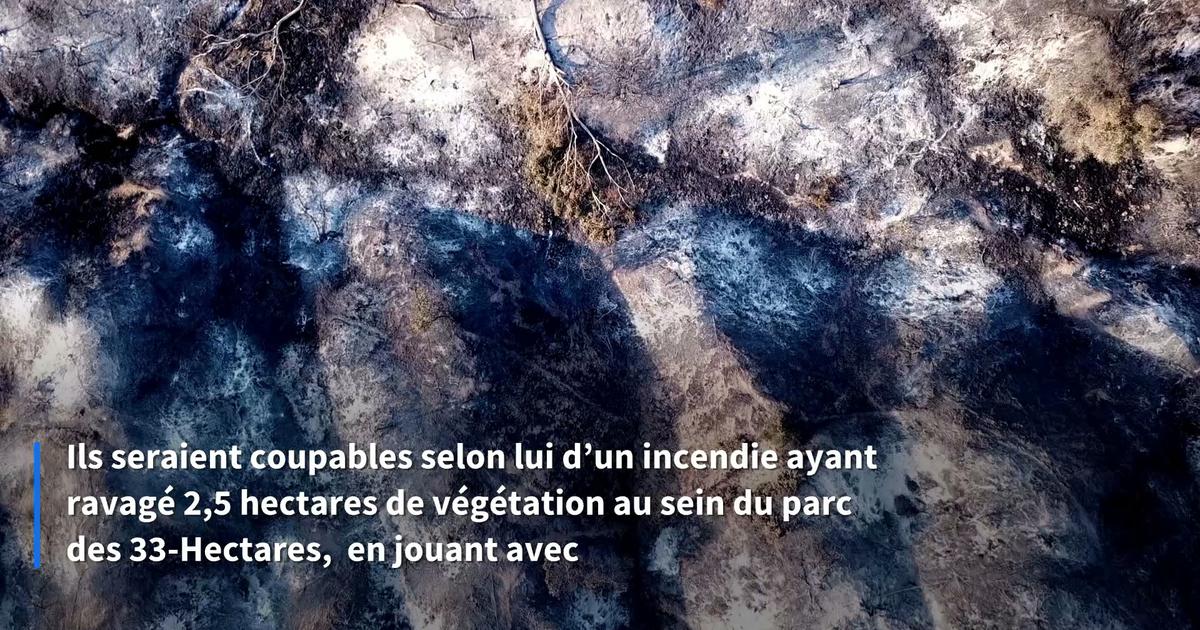 «Il faut faire payer les parents» : après l’incendie déclenché par des enfants de dix ans, le maire de Neuilly-sur-Marne porte plainte