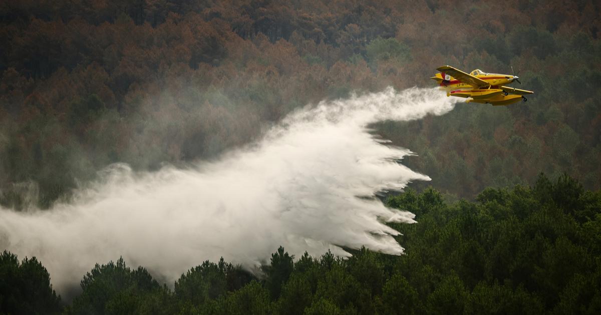 Gironde, Var, Aude... Où en est la lutte contre les principaux incendies en France ce lundi ?
