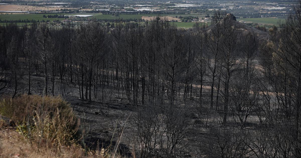« Pendant presque un an, il ne s’est rien passé » : de l’Aude à Marseille, l’enfer administratif des sinistrés après les incendies