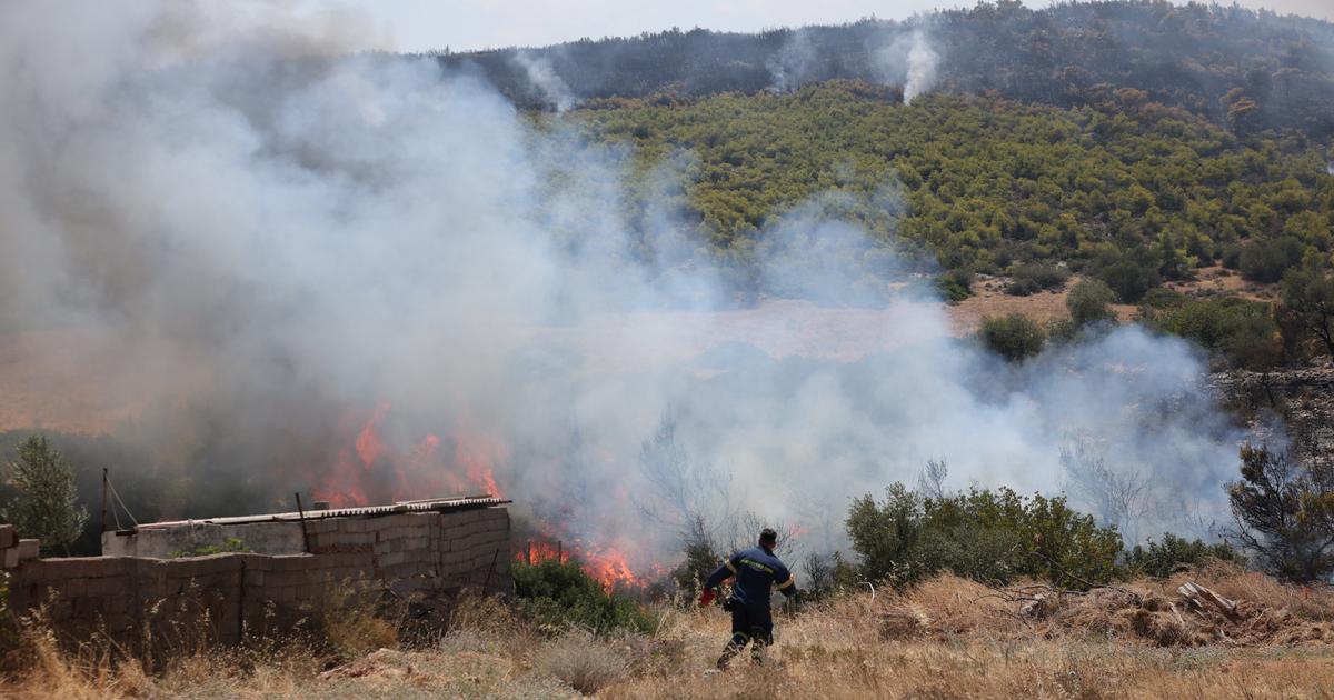 Grèce : les bombardiers d'eau en action après la reprise du feu près d’Athènes