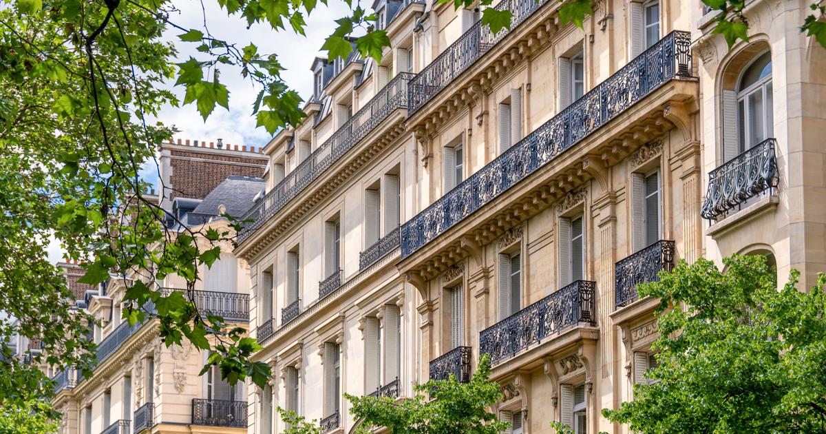 «Comment la politique de sobriété en eau de Paris a condamné les arbres»