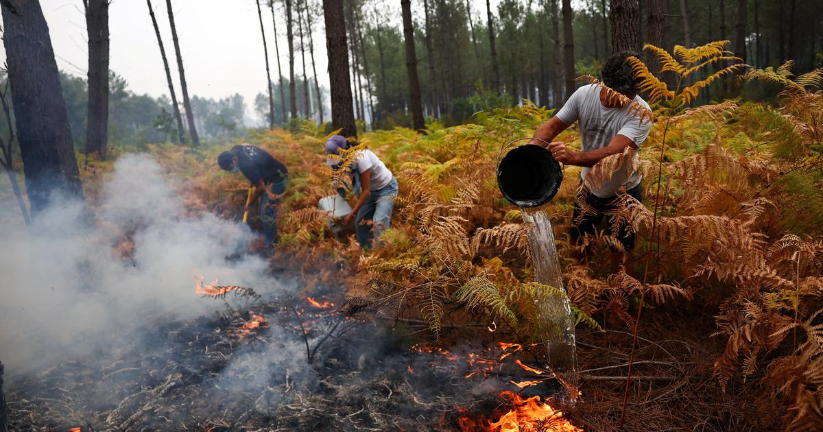 Cette application créée par un saisonnier a remarquablement organisé le travail des bénévoles contre le feu en Gironde