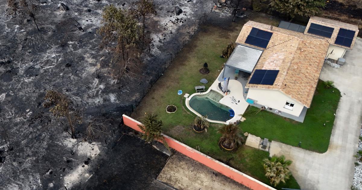 « J’ai vu le danger en direct » : ces traumatismes que les flammes ravivent chez les sinistrés