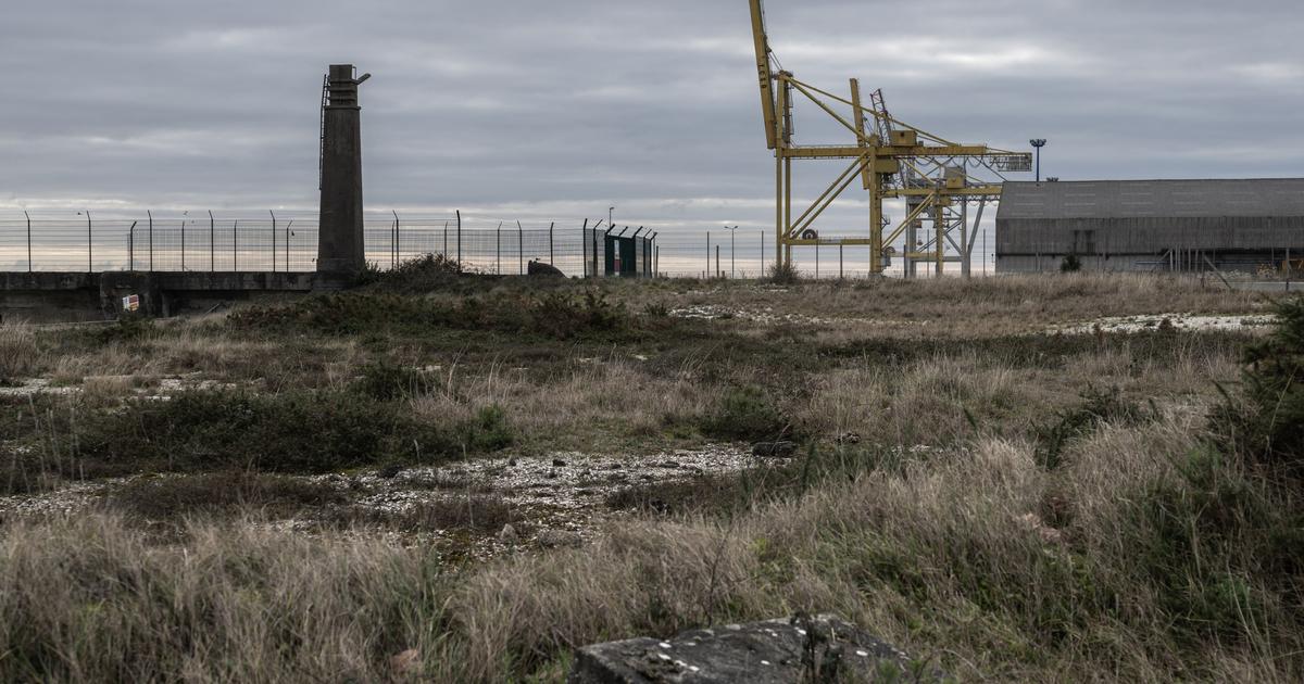 Gironde : l’État donne son feu vert à un projet contesté de mégaferme terrestre à saumons