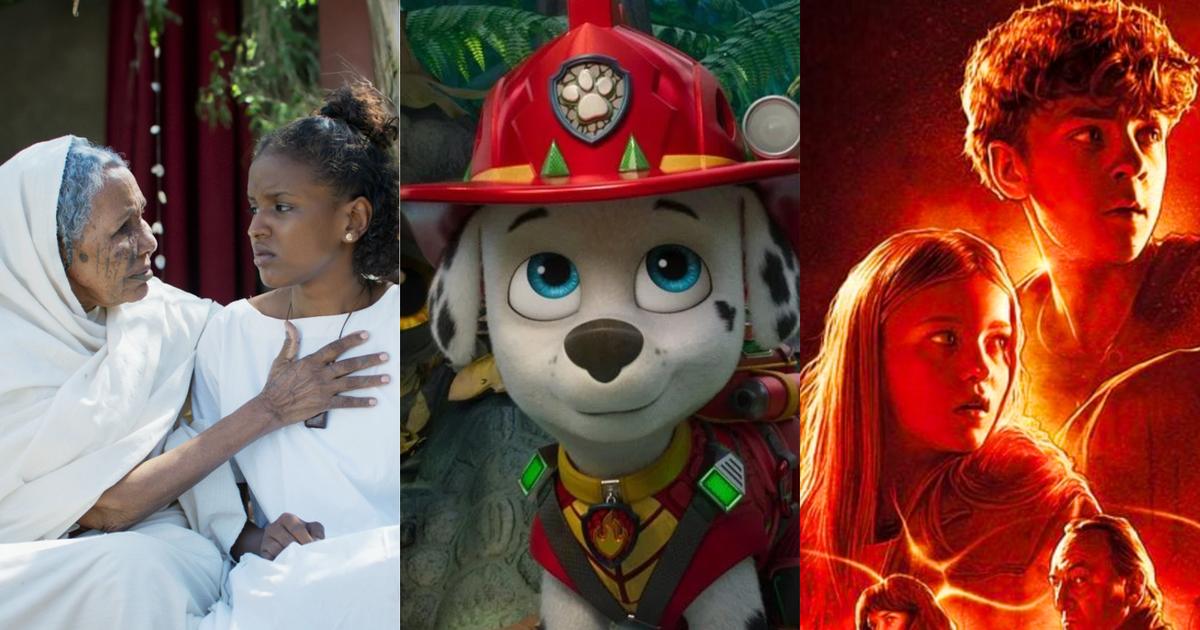 Les films au cinéma cette semaine : faut-il voir ou éviter Cotton Queen, La Pat’ Patrouille ou Kyma, l’onde mystérieuse ?