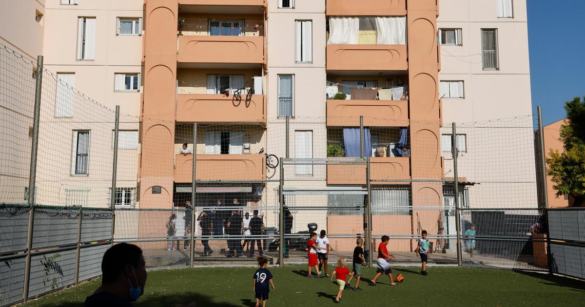 Dacteur de cinéma à chef présumé de la DZ Mafia : le sombre destin de Mehdi Laribi, un narcotrafiquant ultradangereux