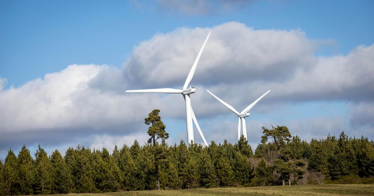 Jean-Louis Butré : « Les collectivités soutiennent les éoliennes pour des raisons purement financières »