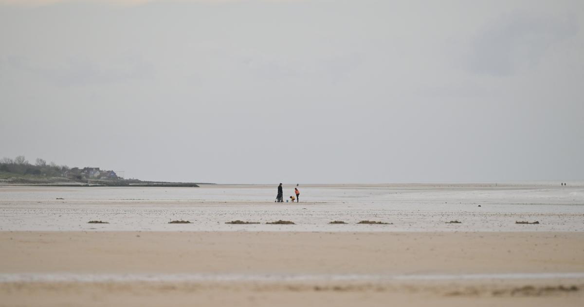 En Normandie, le classement à l’Unesco des plages du Débarquement ravive la bataille contre les éoliennes