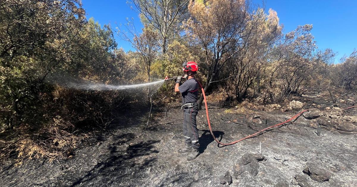 Chaleur, fatigue et risques d’accident: avec les pompiers du Var dans un enfer quotidien pour éteindre un incendie interminable