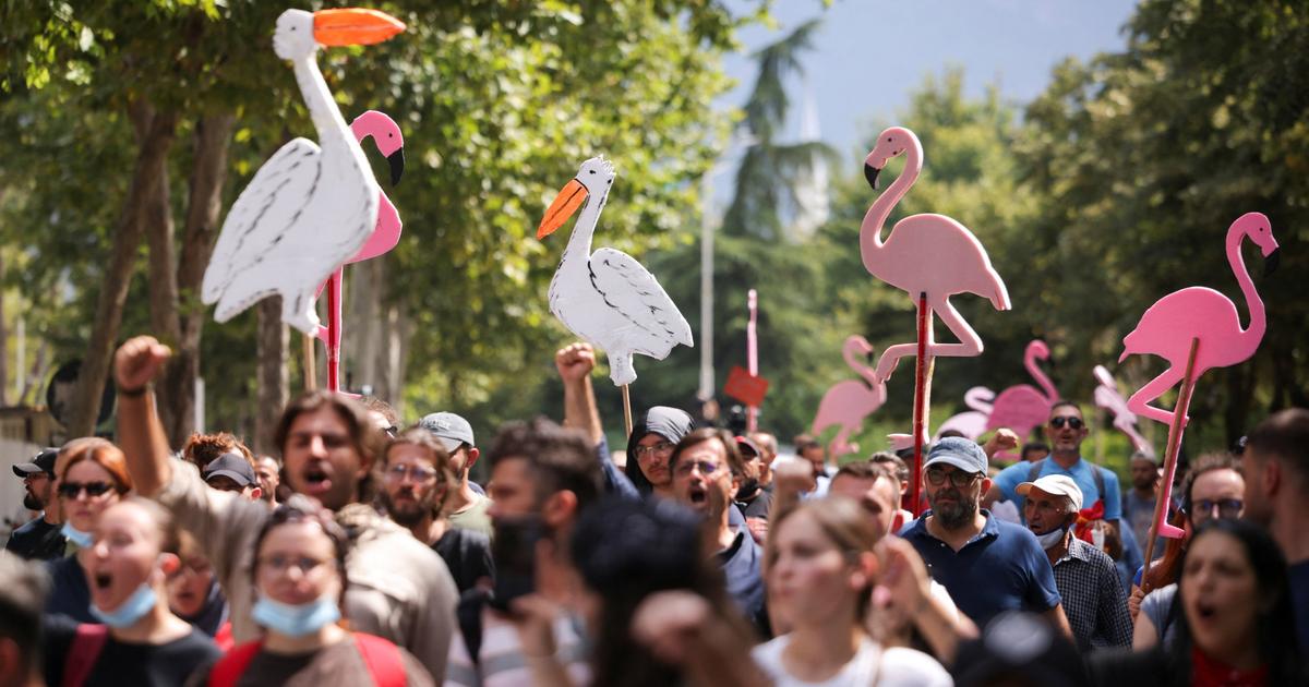 En Albanie, cette « révolution des flamants roses » contre le pouvoir et la famille Donald Trump
