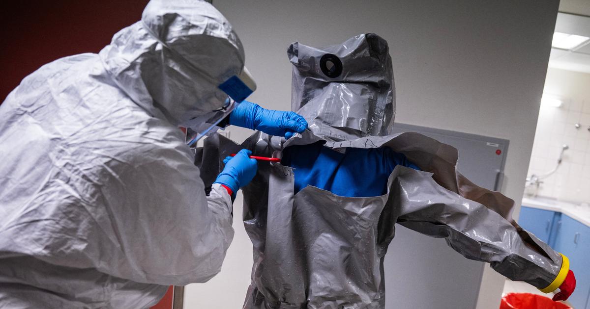 Technological Achievement or Forewarned Catastrophe? AI Creates Bacterial Viruses Not Found in Nature for the First Time