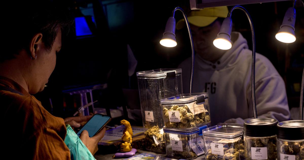 «Une qualité supérieure pour un prix deux fois moins élevé» : pourquoi les trafiquants français misent désormais sur le cannabis thaïlandais