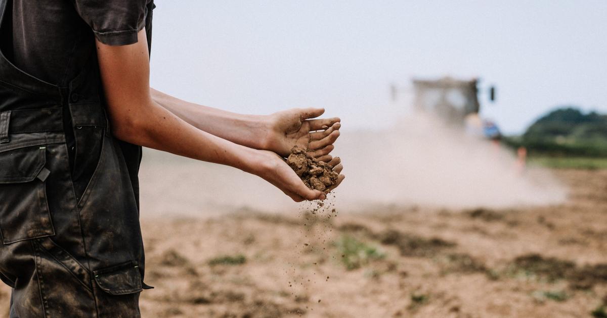 Pertes agricoles, trésorerie... Ce que la canicule et les incendies vont coûter à l’économie française