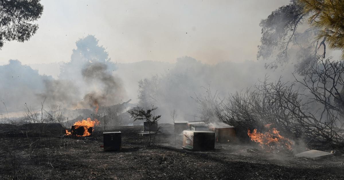 Un incendie près de Thessalonique en Grèce force l'évacuation de centaines de touristes par la mer