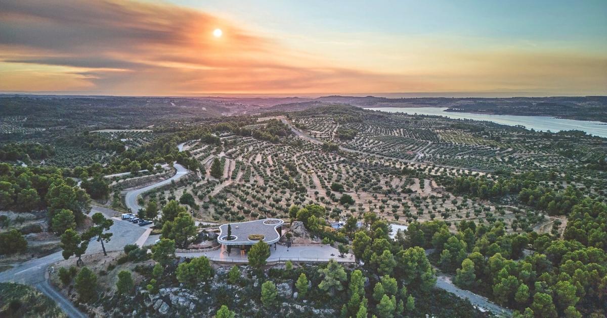 À la Cuadrat Valley, dans les secrets du domaine qui produit le « Petrus de l’huile d’olive »