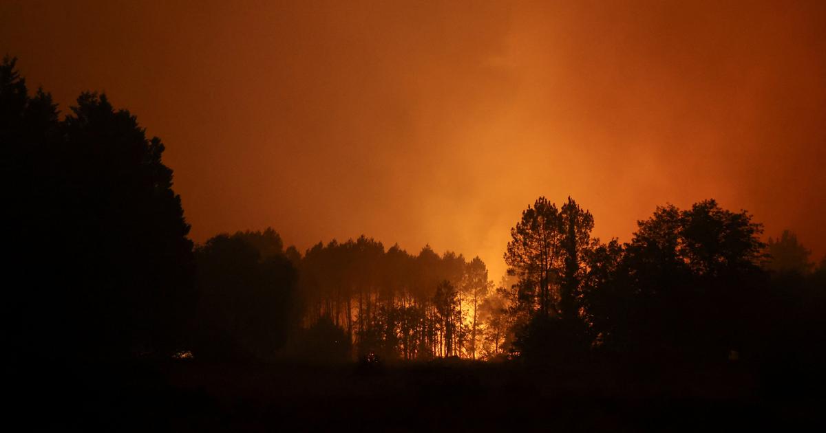 Incendie dans les Landes : la carte du feu de forêt en cours près de Mont-de-Marsan