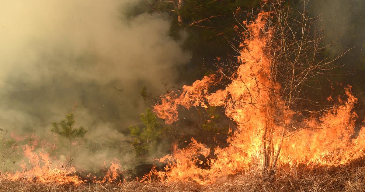 Croatie : un violent feu de forêt menace une station touristique du littoral
