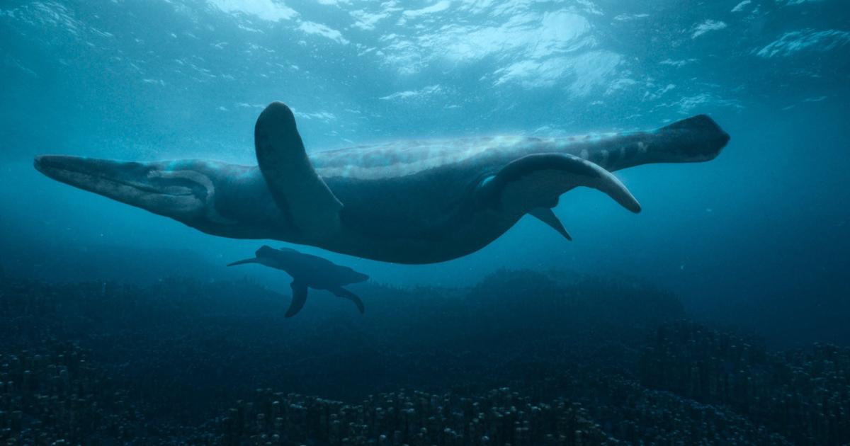 Lorànt Deutsch raconte 500 millions d’années de notre histoire dans « Il était une fois la planète Terre »