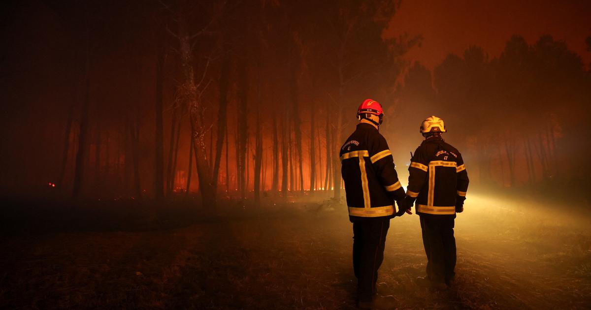 EN DIRECT - Incendie : un nouveau feu a déjà ravagé 110 hectares dans les Landes, 474 personnes interpellées depuis début juillet