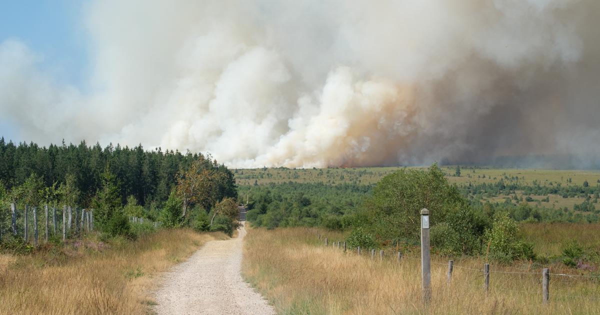 Belgique : 1.650 hectares brûlent en Belgique, premières évacuations
