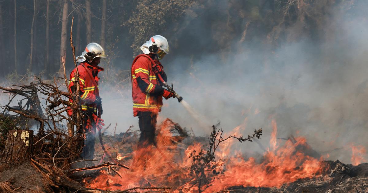 Incendie dans les Landes : le feu a repris dans la nuit, 650 personnes évacuées